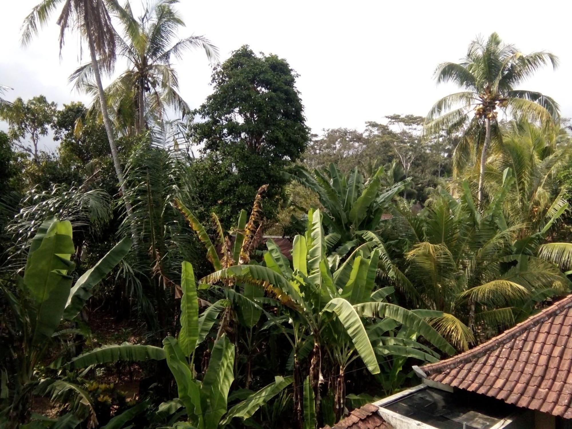 Bed and Breakfast Manada Guesthouae Ubud Exterior foto