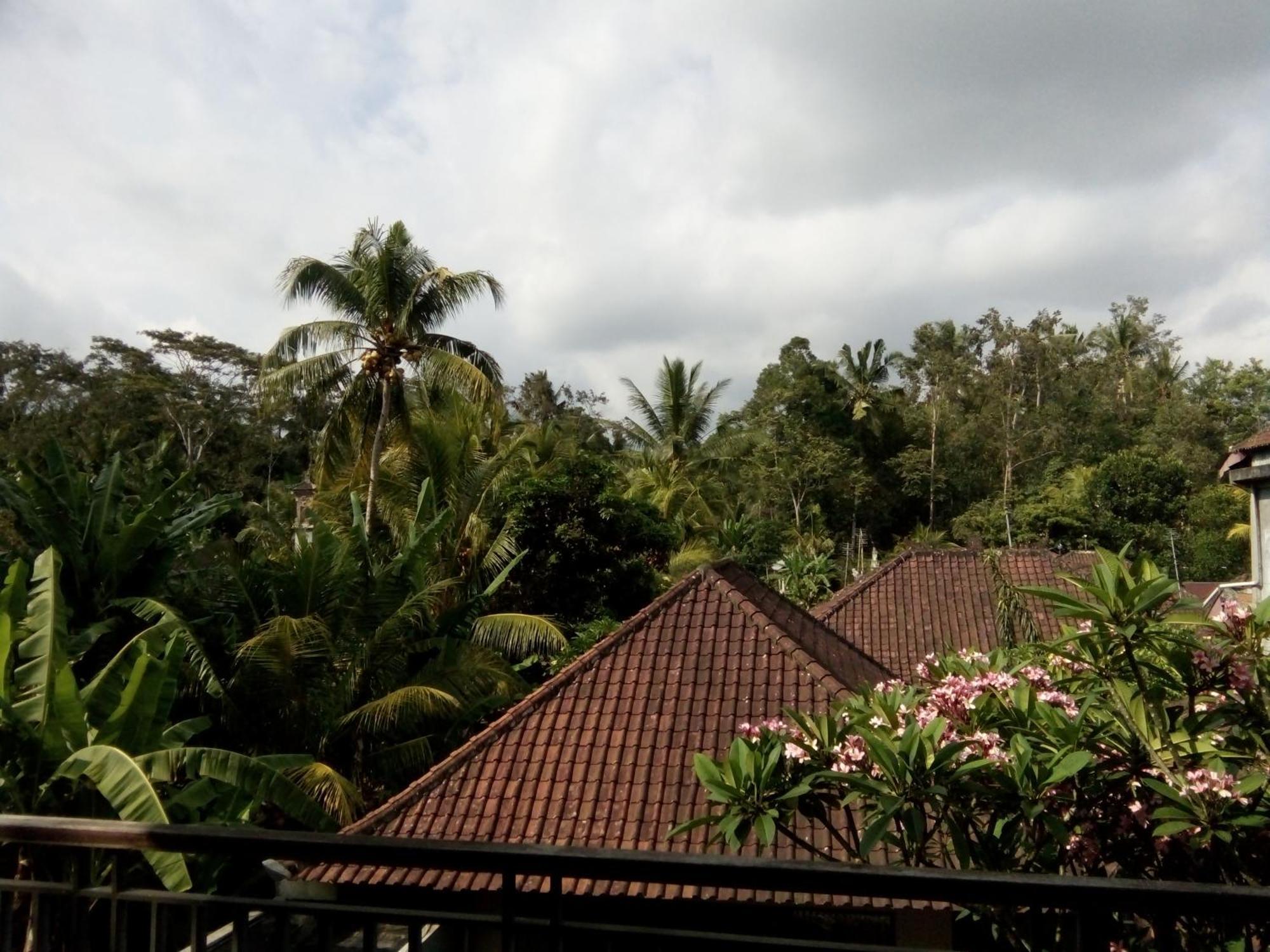 Bed and Breakfast Manada Guesthouae Ubud Exterior foto