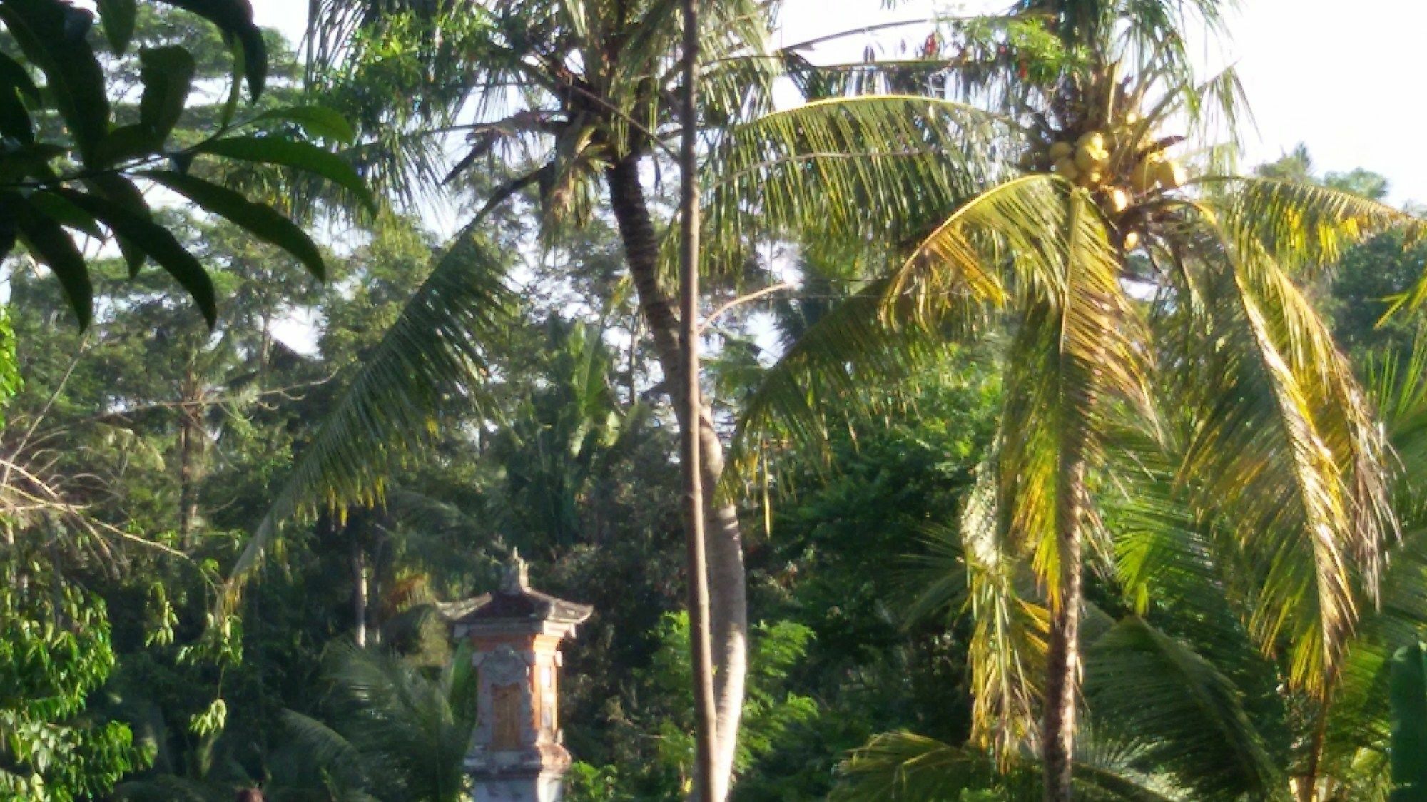 Bed and Breakfast Manada Guesthouae Ubud Exterior foto